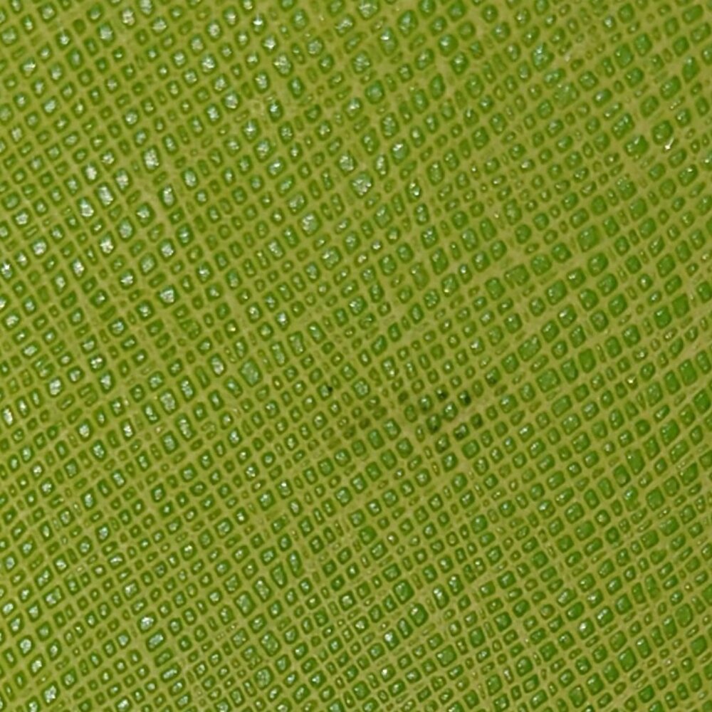 Michael Kors Large Selma Pear Green Purse - Picture 9 of 12